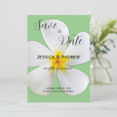 トロピカル フローラル, サージ上のホワイト プルメリア, ウェディング セーブザデート (スタンド正面)