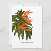 トロピカル ブリーズ ラッシュ リッチ ボタニカル セーブ ザ デート 招待状 (裏面)