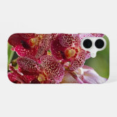 トロピカル・ヴァンダ・オーキッド・クラスター iPhone 16ケース (裏面横)