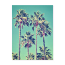 トロピカル ヴィンテージ パーム ツリー