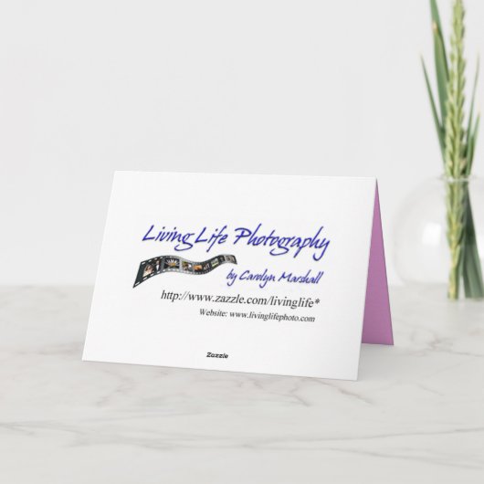 トロピカルGet Well Card カード (裏面)