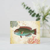 トロピッカラフルクカリブのフィッシュとサンゴ ポストカード (スタンド正面)