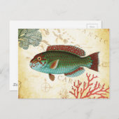 トロピッカラフルクカリブのフィッシュとサンゴ ポストカード (正面/裏面)