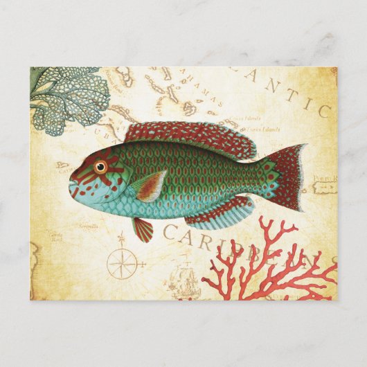 トロピッカラフルクカリブのフィッシュとサンゴ ポストカード (正面)
