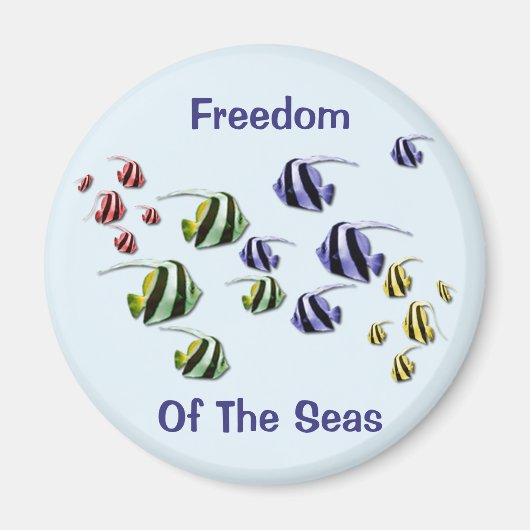 トロピッカラフルク魚遊泳用フリーマグネット マグネット (正面)