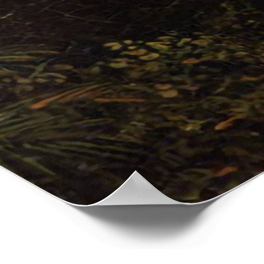 トロピック・フレドリック・エドウィン教会のシャワー ポスター (角)