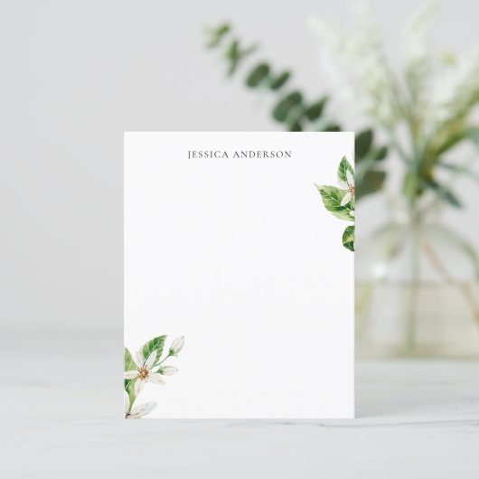 トロピッ地中海のク茎葉白フローラカスタム (スタンド正面)