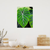 トロピッ葉クな、ゾウの耳、ダークグリーン ポスター (キッチン)