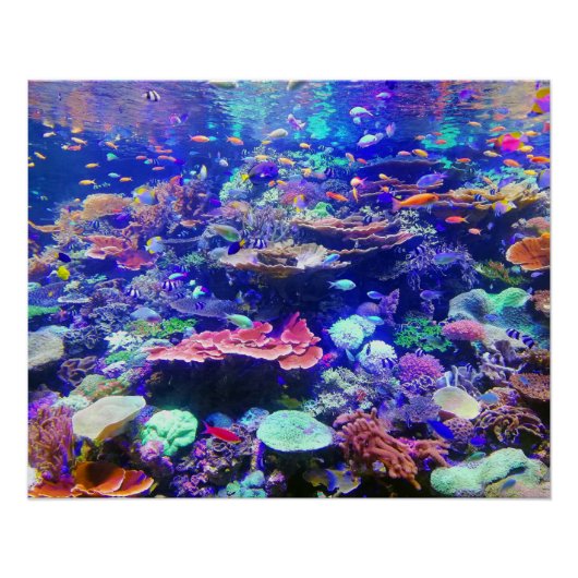 トロピッ鮮やかクカラフルフィッシュ水族館 ポスター (正面)