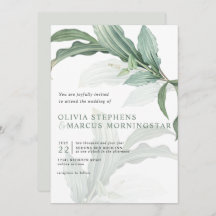 トロピモダンエレガントカル葉