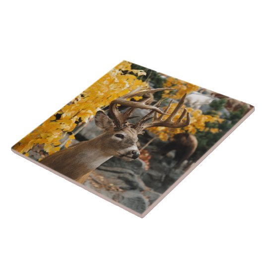 トロフィのシカ タイル (側面)