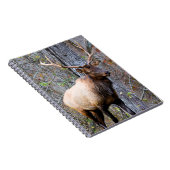 トロフィエルクノート ノートブック (右側)