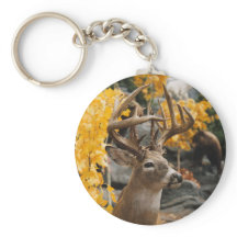 トロフィーディアー