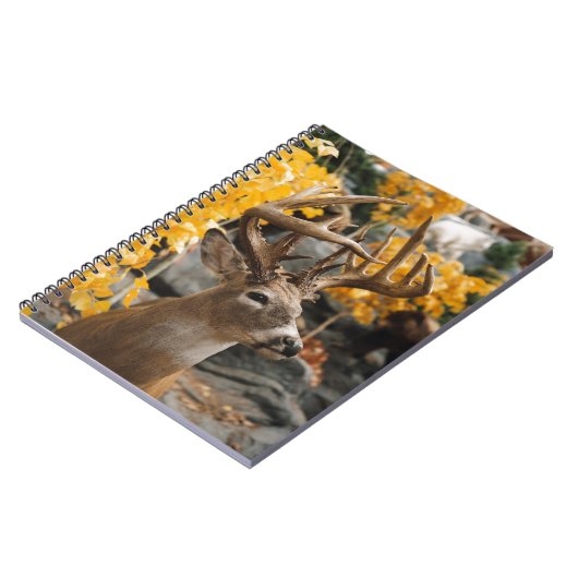 トロフィーディアー ノートブック (左側)