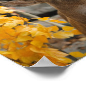 トロフィーディアー ポスター (角)