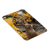 トロフィーディアー マグネット (右側)