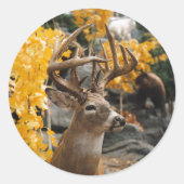 トロフィーディアー ラウンドシール (正面)