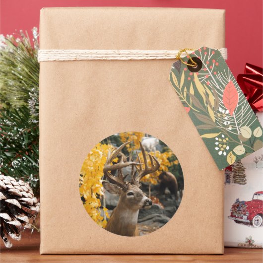 トロフィーディアー ラウンドシール (クリスマス)