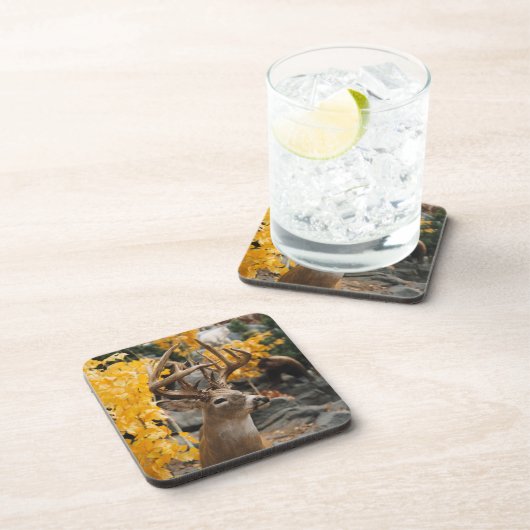 トロフィー・ディア コースター (右側)