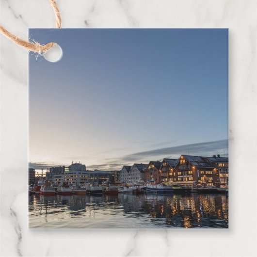 トロムノルウェー フェイバータグ (正面)