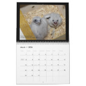 トロントのカレンダーの2012年のロチェスターの《鳥》ハヤブサ カレンダー (3月 2026)