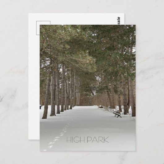 トロントのハイパークの冬のはがき ポストカード (正面/裏面)