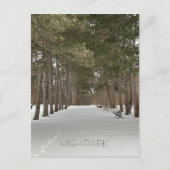 トロントのハイパークの冬のはがき ポストカード (正面)