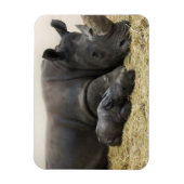 トロントズーベビーシロサイ マグネット (縦)