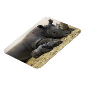 トロントズーベビーシロサイ マグネット (左側)