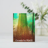 トロント最古のライトハウス ポストカード (スタンド正面)