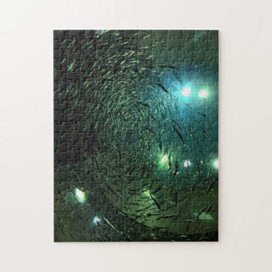 トロント水族館カナダ。 ジグソーパズル (縦)