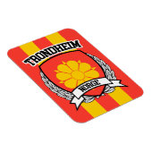 トロンハイム マグネット (右側)