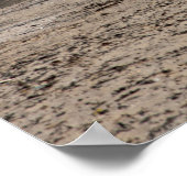 トロンビーチスコットランドポストカード ポスター (角)