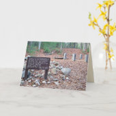 ※トローのキャビン基礎の位置。カード カード (黄色い花)