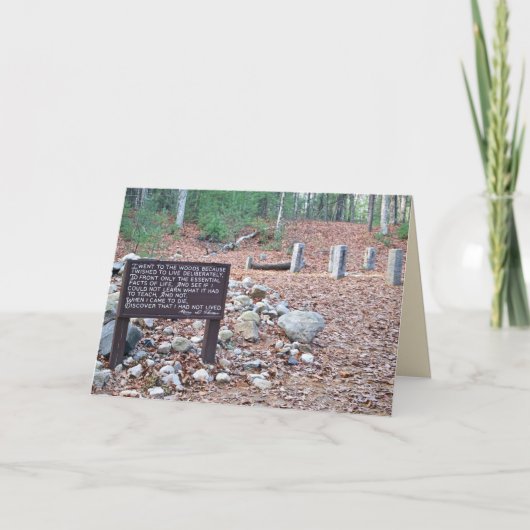 ※トローのキャビン基礎の位置。カード カード (正面)