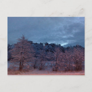 トロール朝 ポストカード