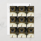 トロール王の王子 ポストカード (正面/裏面)