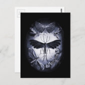 トワイライトの真菌の蛾 ポストカード (正面/裏面)