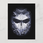 トワイライトの真菌の蛾 ポストカード (正面)
