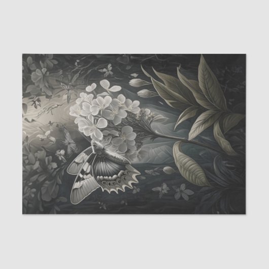 トワイライトの蛾オランダー・ドリームズ 薄葉紙 (正面)