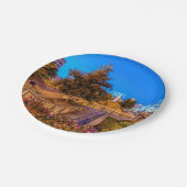 トワイライトアットパークセントラルスクエア ペーパープレート (アングル)