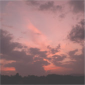 トワイライトバラスキー シール (正面)