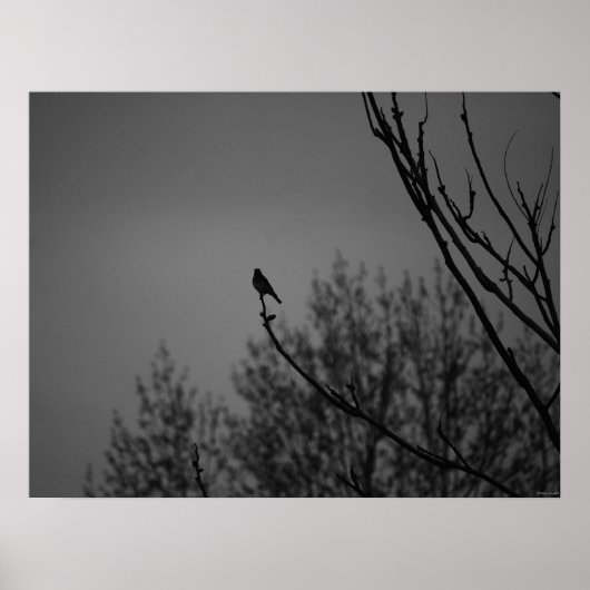 トワイライトバード ポスター (正面)