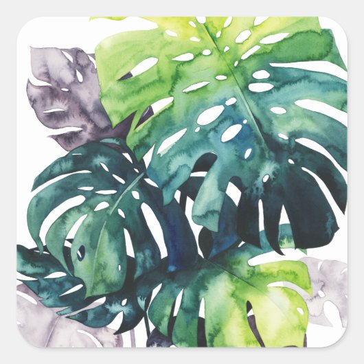 トワイライトパームズスプリットリーフ スクエアシール (正面)