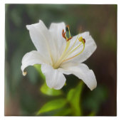 トワイライトホワイトリリー タイル (正面)
