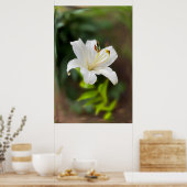 トワイライトホワイトリリー ポスター (キッチン)