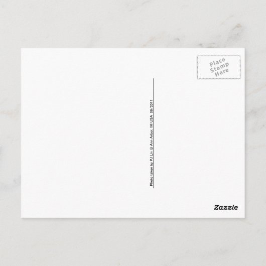 トワイライト ポストカード (裏面)