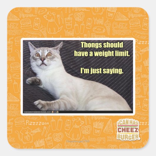 トンは重量制限を持つべきである。 スクエアシール (正面)