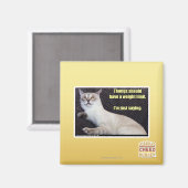 トンは重量制限を持つべきである。 マグネット (正面/裏面)