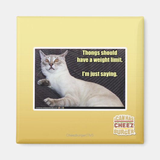 トンは重量制限を持つべきである。 マグネット (正面)